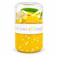 PRE-ODER Lemon Squeeze Dough Double Jar Kit